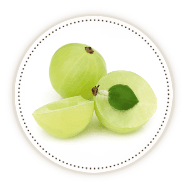 Amla